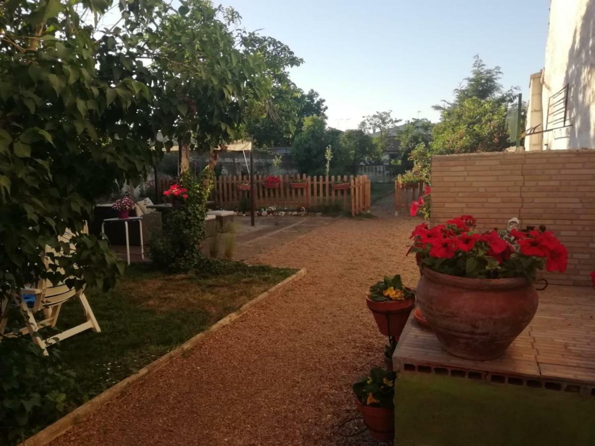 Вілла Boleta A 5 Minutos De Leon, Casa Con Jardin San Andres del Rabanedo Екстер'єр фото